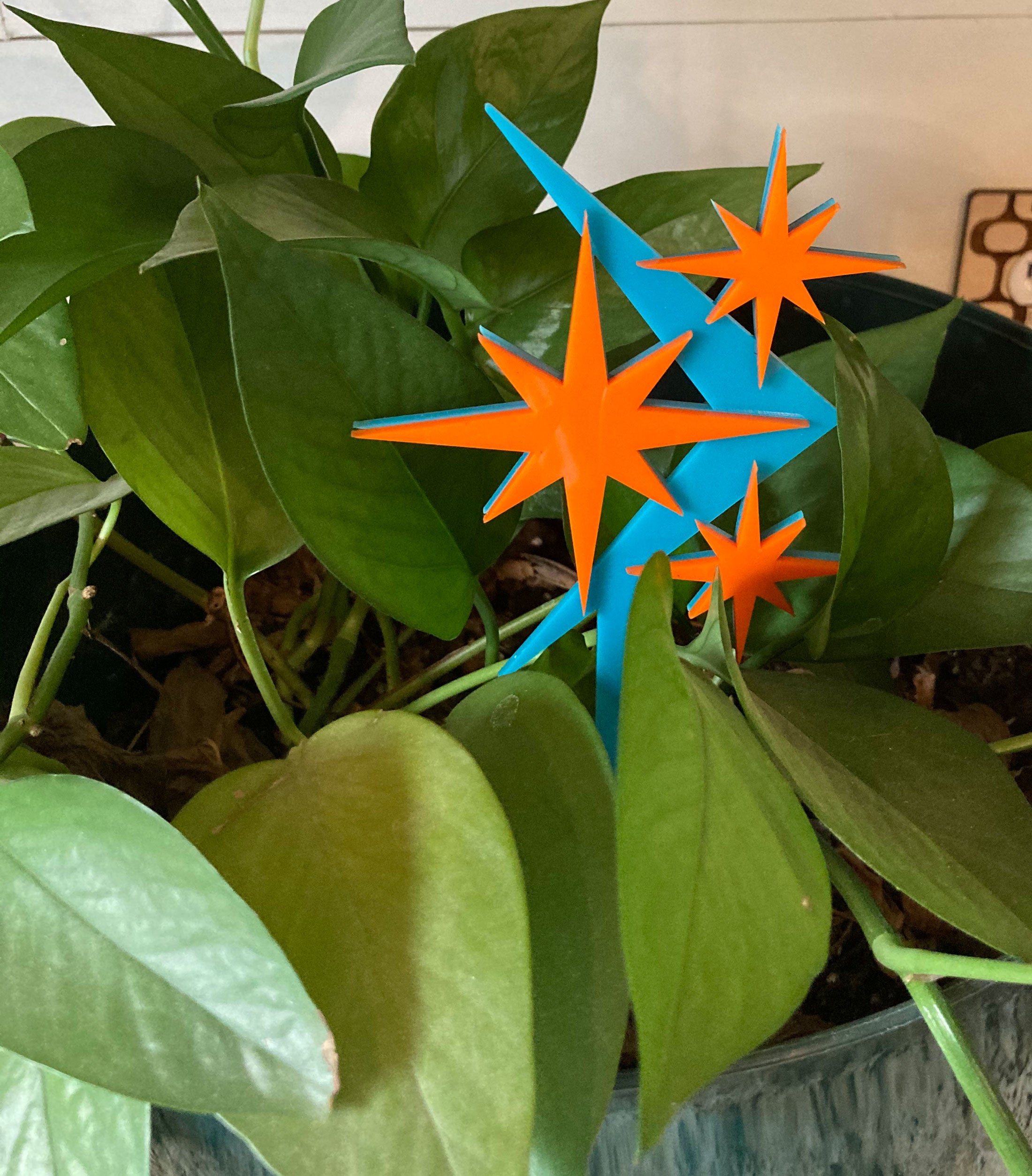 Atomic House Plant Decoration - Boomerang & Stars