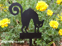 Halloween House plant decoration - Halloween Cat