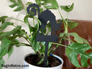 Halloween House plant decoration - Halloween Cat