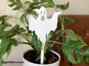 House plant decoration - Ghost