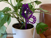 House plant decoration - Butterfly