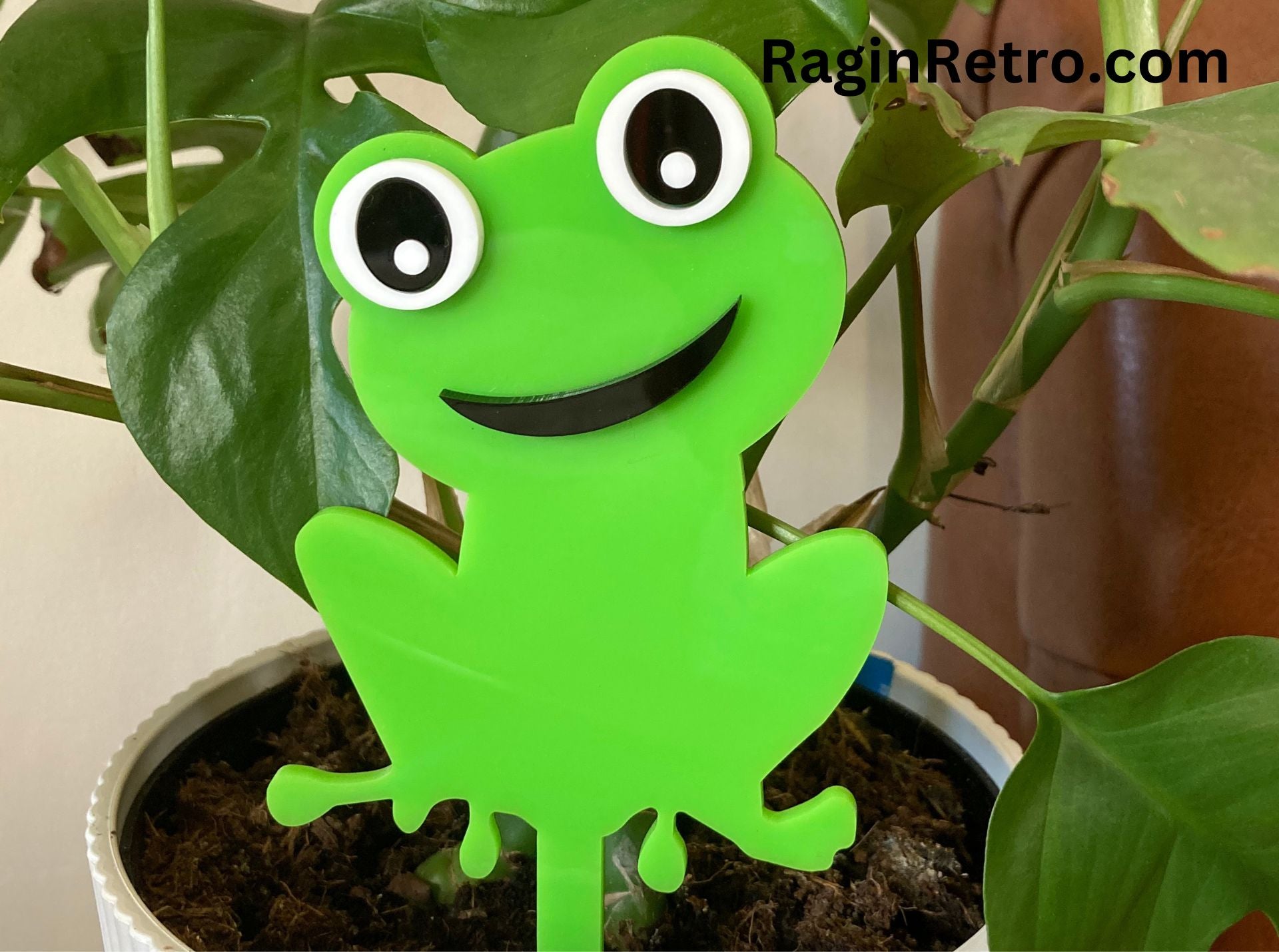 House plant decoration - Frog