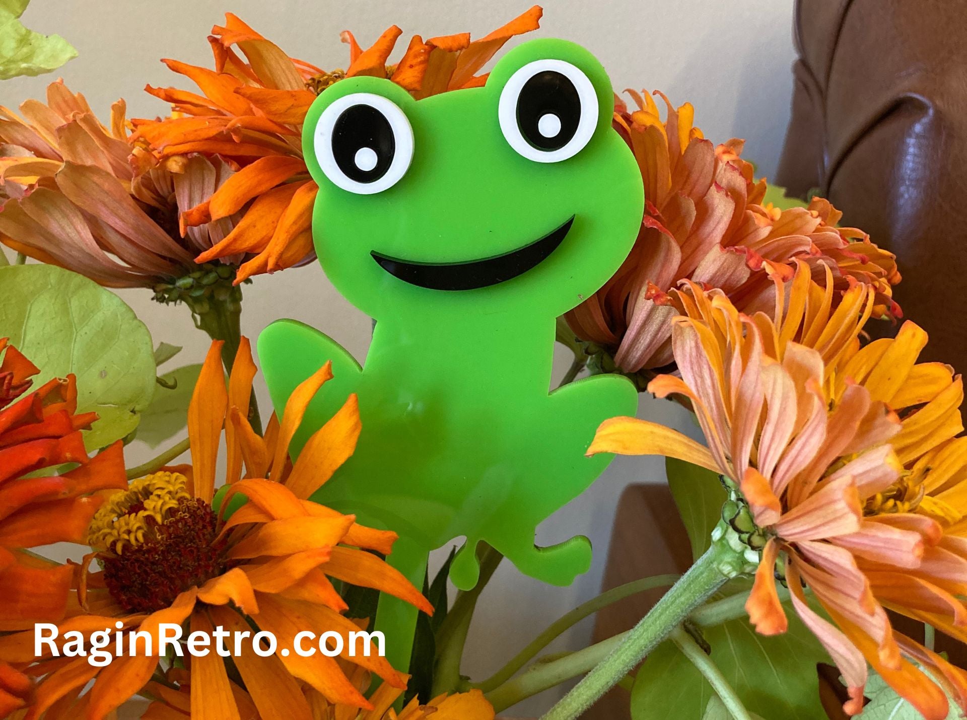 House plant decoration - Frog