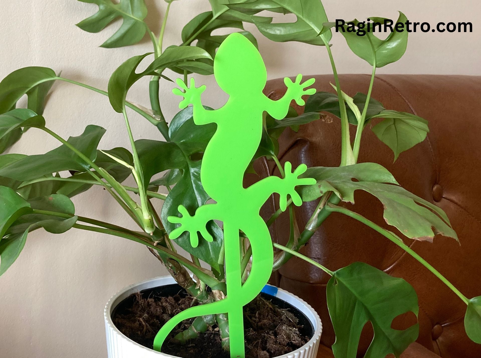 House plant decoration - Gecko