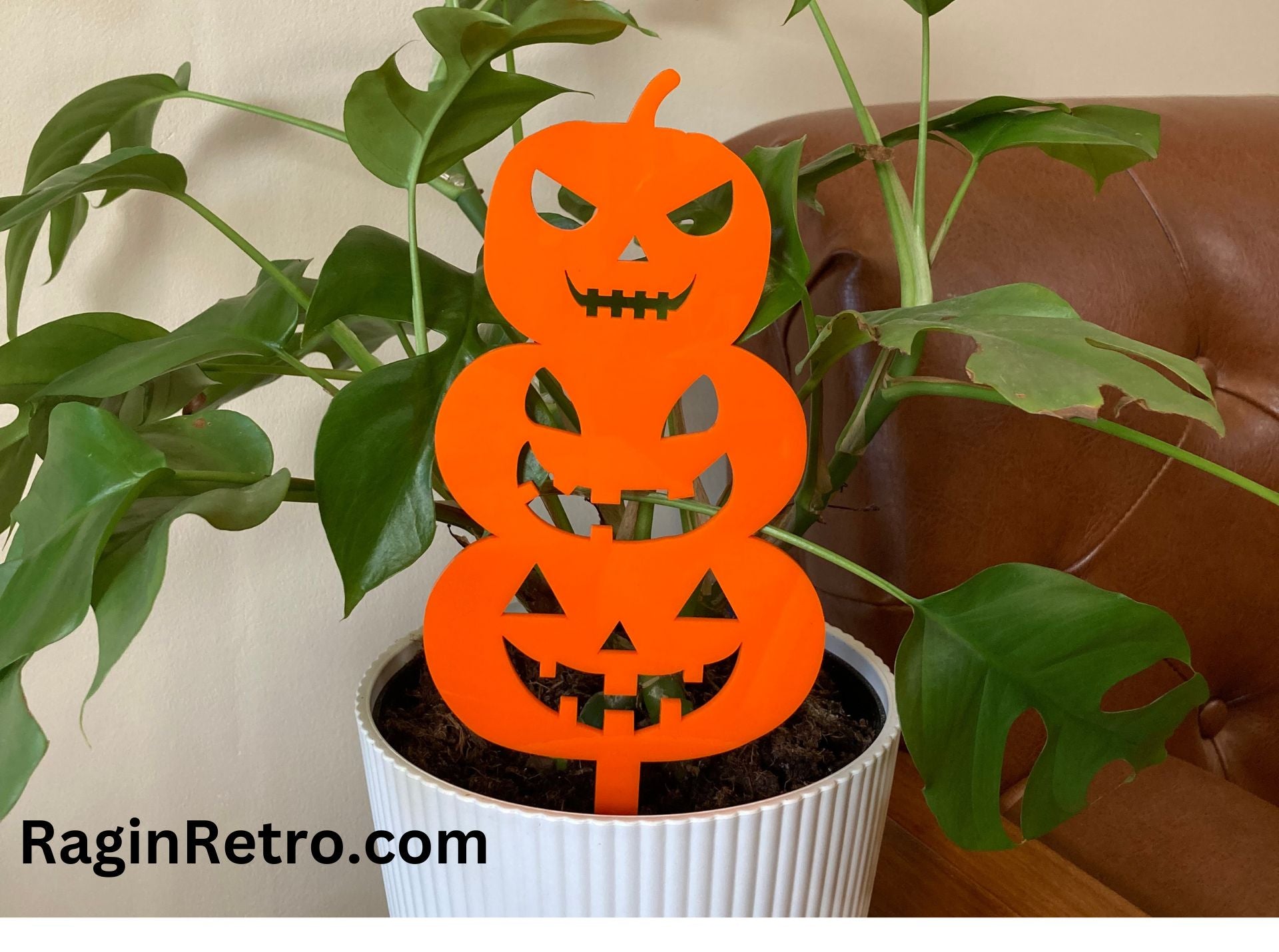 House plant decoration - Halloween Pumpkins